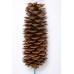 SUGAR PINE CONE NATURAL 9"-14" STAKED  
